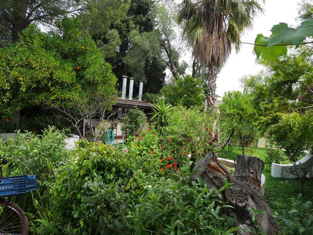 Longhouse Inn Hotel Dalyan Ngoại thất bức ảnh
